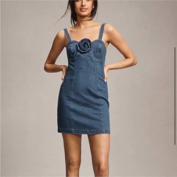 Anthropologie Porridge Denim Rosette Chambray Mini Dress - Picture 3 of 8